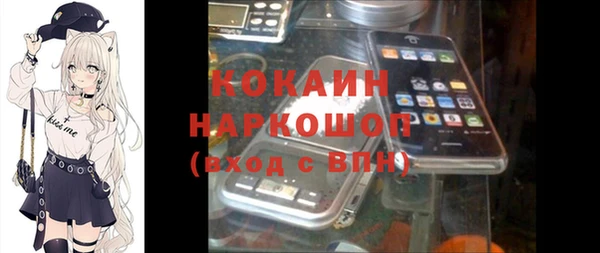 ALPHA PVP Елизово